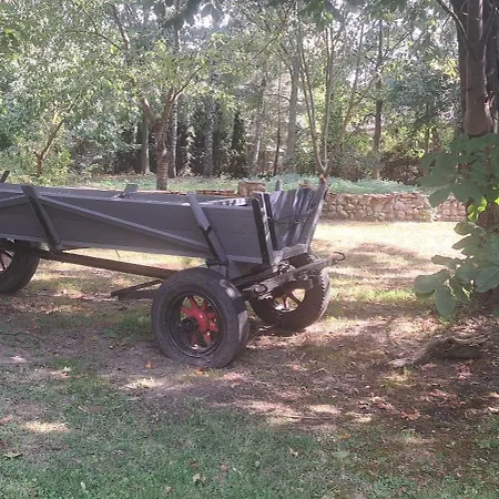 Vakantieboerderij Kasztelania Pod Lipami Zakroczym