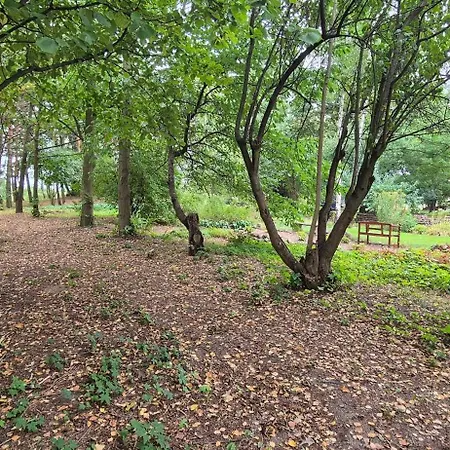 Alloggio per agriturismo Kasztelania Pod Lipami *