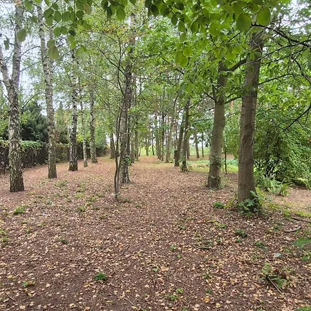 Kasztelania Pod Lipami *