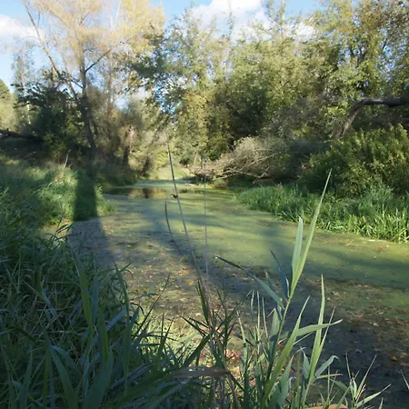 Kasztelania Pod Lipami Vakantieboerderij Zakroczym