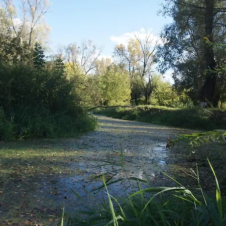 Kasztelania Pod Lipami *