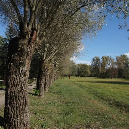 Kasztelania Pod Lipami