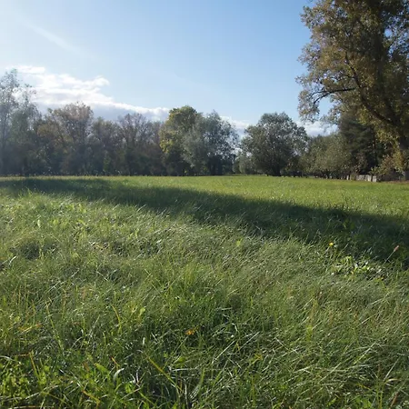 Kasztelania Pod Lipami Alloggio per agriturismo Zakroczym