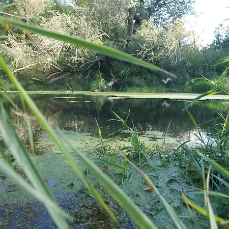 Vakantieboerderij Kasztelania Pod Lipami Zakroczym