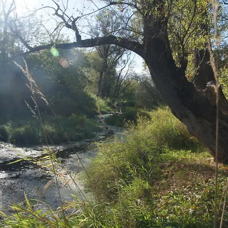 Kasztelania Pod Lipami *