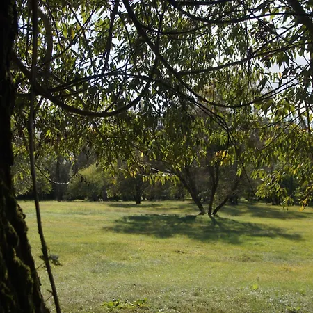 Kasztelania Pod Lipami Zakroczym