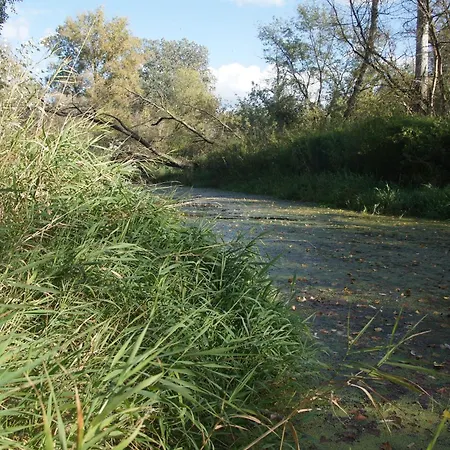 Kasztelania Pod Lipami Vakantieboerderij *