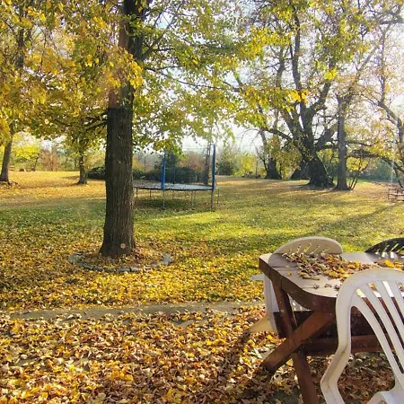 Farm stay Kasztelania Pod Lipami *