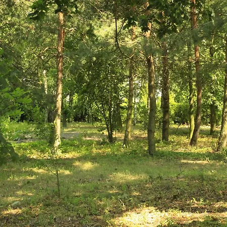 Kasztelania Pod Lipami * Zakroczym