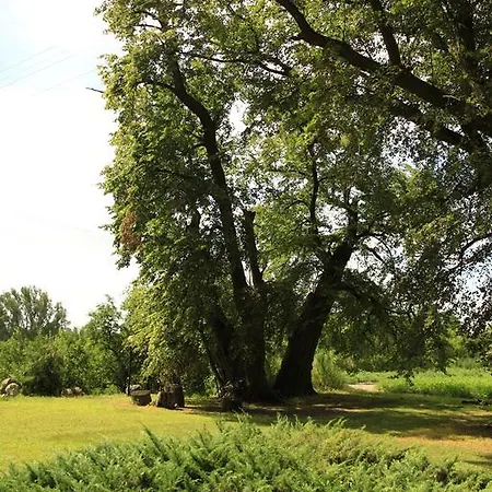 Kasztelania Pod Lipami * Zakroczym