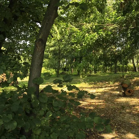 Kasztelania Pod Lipami