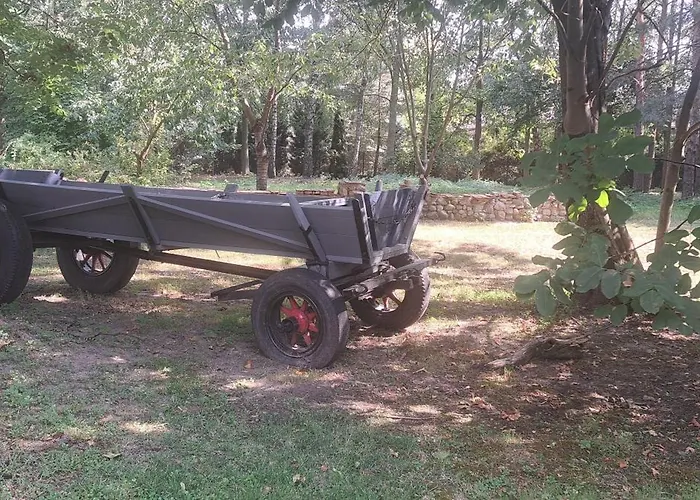 Séjour à la ferme Kasztelania Pod Lipami Zakroczym