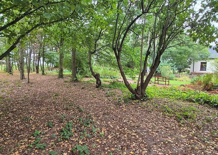 Séjour à la ferme Kasztelania Pod Lipami *