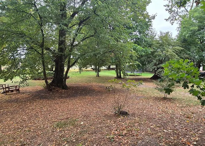 Farm stay Kasztelania Pod Lipami Zakroczym