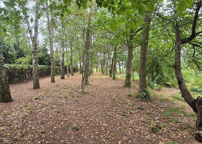 Kasztelania Pod Lipami *