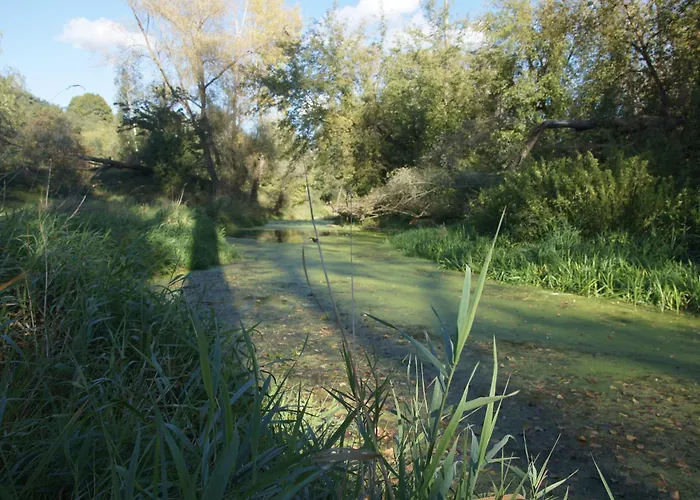 Kasztelania Pod Lipami 农家乐 Zakroczym