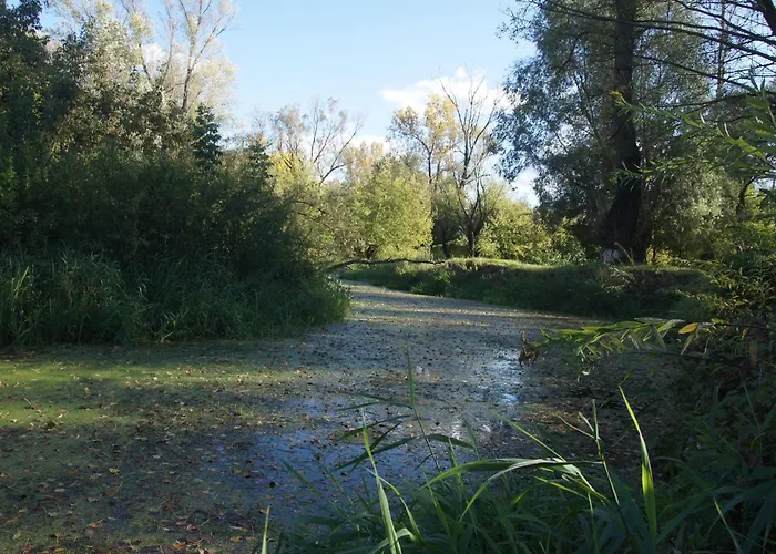Kasztelania Pod Lipami *