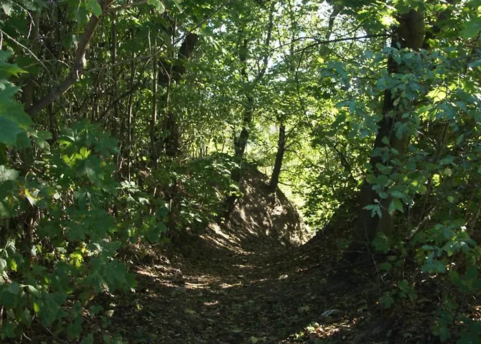Séjour à la ferme Kasztelania Pod Lipami