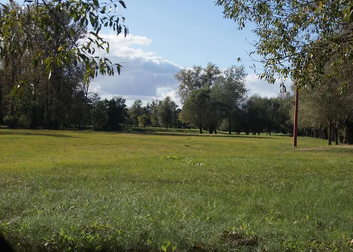 Séjour à la ferme Kasztelania Pod Lipami *