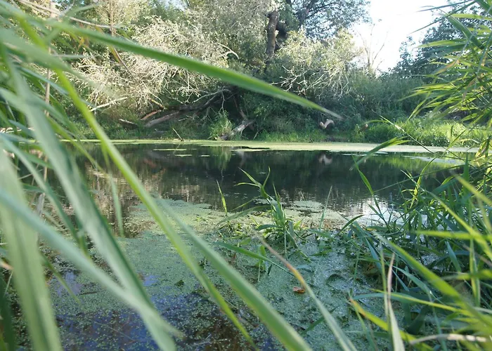Séjour à la ferme Kasztelania Pod Lipami Zakroczym