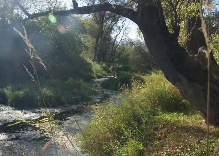 Kasztelania Pod Lipami *