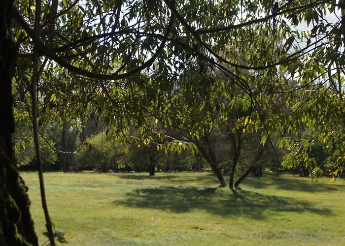 Kasztelania Pod Lipami Zakroczym