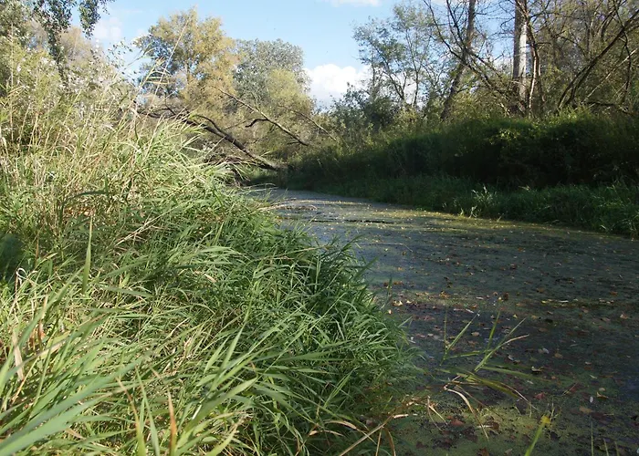 Kasztelania Pod Lipami 农家乐 *