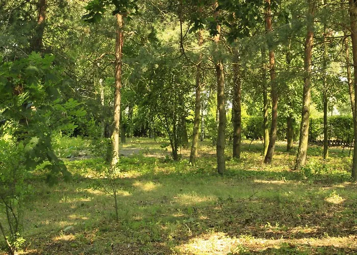 Kasztelania Pod Lipami * Zakroczym