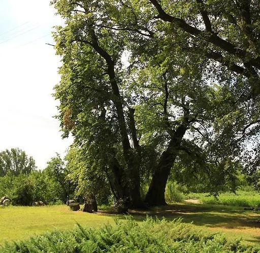 Kasztelania Pod Lipami * Zakroczym