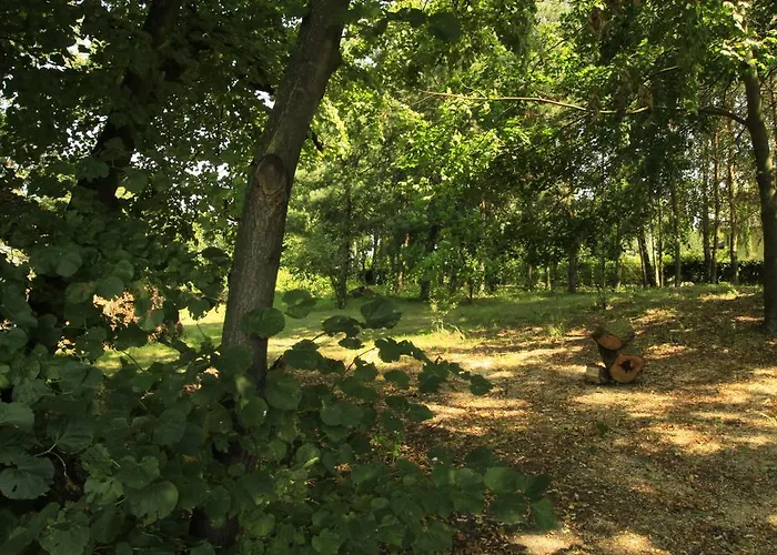 Kasztelania Pod Lipami